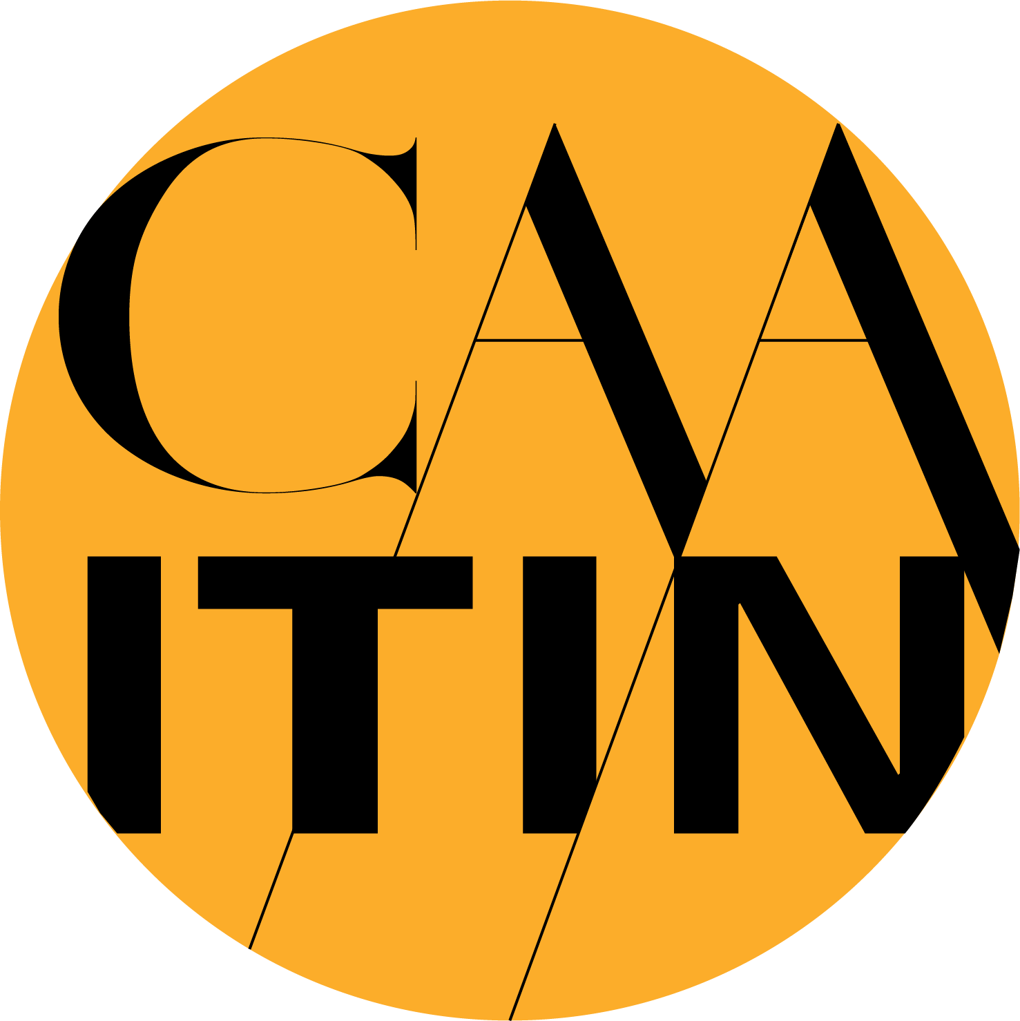 CAA ITIN LOGO